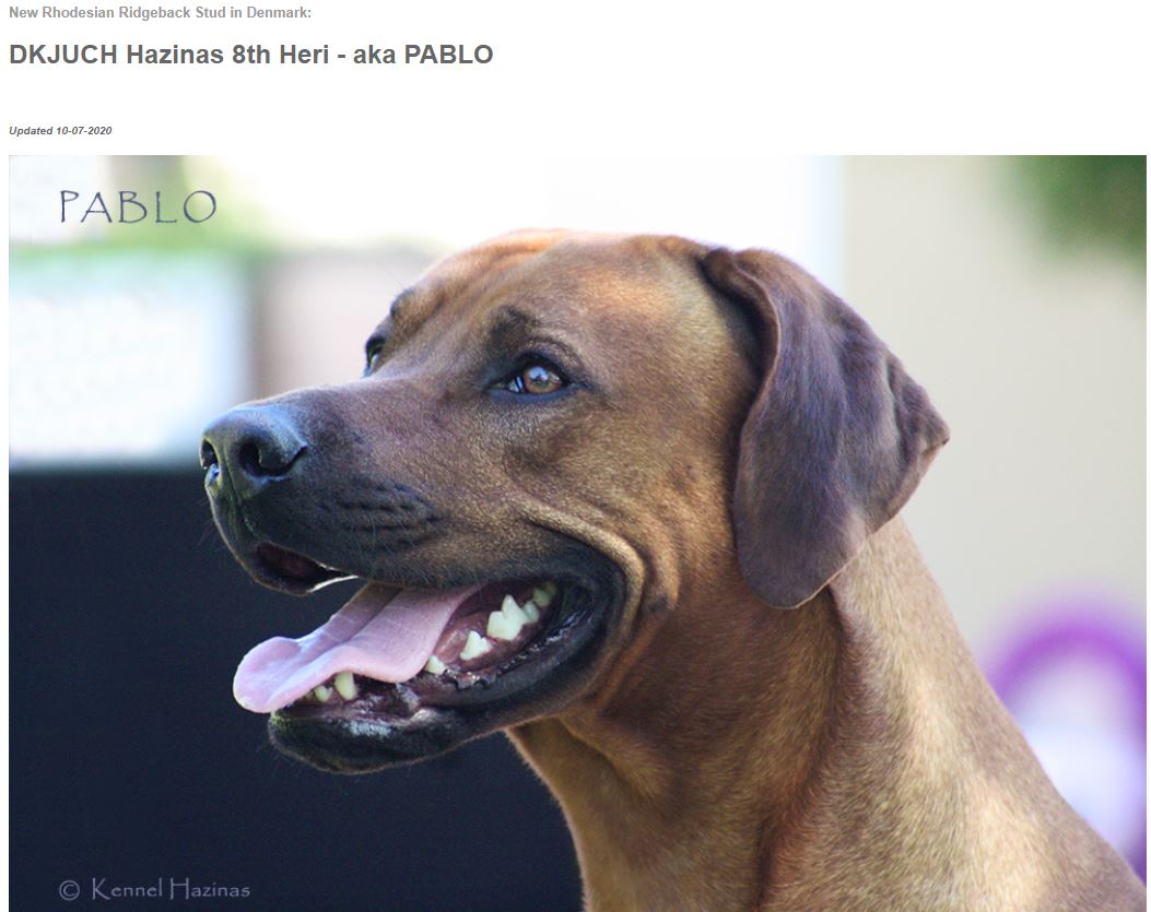 Pablo's hjemmeside